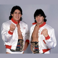 WWF in 1987 (Strike Force, Hart Foundation, Honky Tonk Man and Macho Man) and more