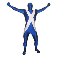 Episode 11: Scotland decides