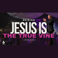 Jesus Is The True Vine | The Art of Abiding | Pastor Daniel Norris