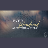 The Wonder Of Christmas | Ever Wondered About The Angels | Pastor Daniel Norris