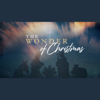 The Wonder Of Christmas | Christmas With The Family | Pastor Donnie Lewis