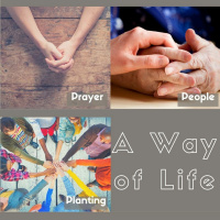 A Way of Life - Starting New Families (Luke Morris) 16th October 2016