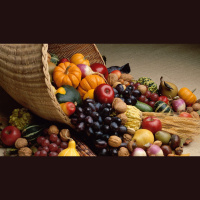 Experiencing a Fruitful Harvest - Audio