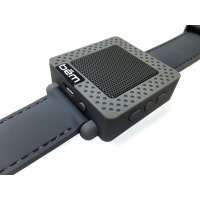 Using BlindSquare with a Bluetooth Speaker