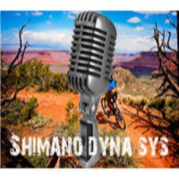 Shimano Dyna Sys 3x10