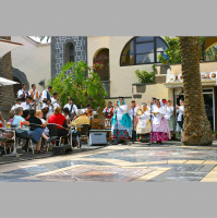 Canary Islands Day - Twitters from the Atlantic