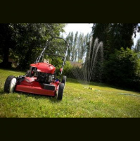 Mowing the lawn - Twitters from the Atlantic