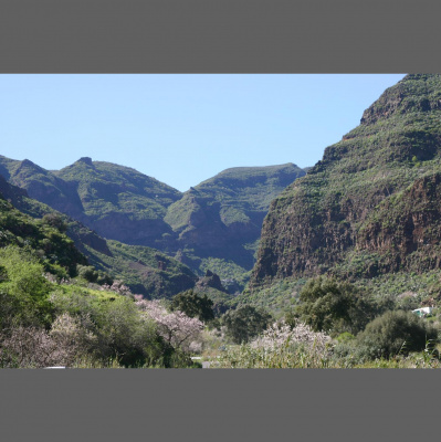 Barrie Mahoneys Posts