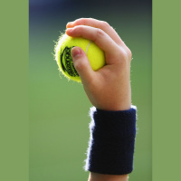 Nick Lester and Lee Phelps: Gasquet v Djokovic