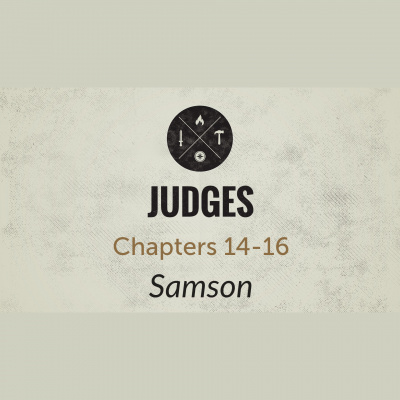 Growing Under The Word