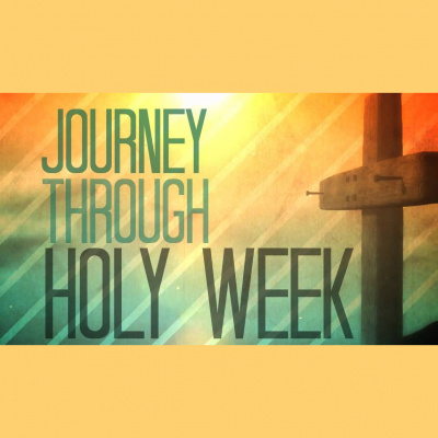 Growing Under The Word