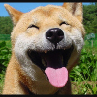 Meet My Good Friends Dave and Aubrey