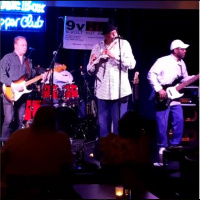 Meet My Good Friend Honeycomb