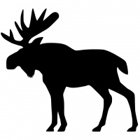 Meet My Good Friend Megan