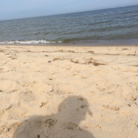 sunday morning book club at the beach