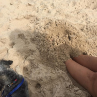 sunday beach side book club part 2