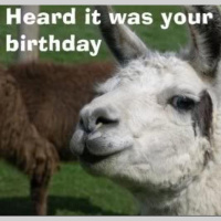 8 months: Im not with her, Im allergic.