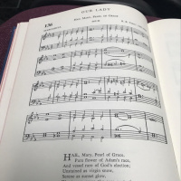 hail mary pearl of grace