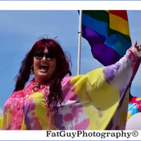 CACP - #268 - Buffalo Out Loud