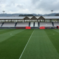 A la búsqueda de una reacción