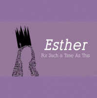 The Bachelor - Audio