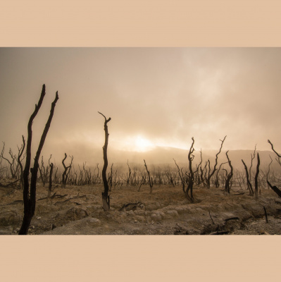 Gospel Conversations