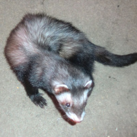 Passenger Seat Radio Episode 2015-07-28