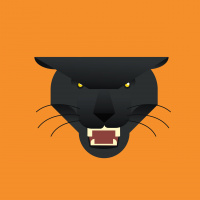 Prince T’Challa: No Victoria’s Secret