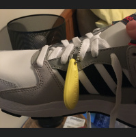 Sneaker Con Funeral: Audacious Impeachment Defecation