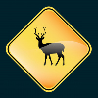 Young Buck: Wingin It