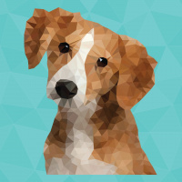 Chubby Puppy: Gen X Radio