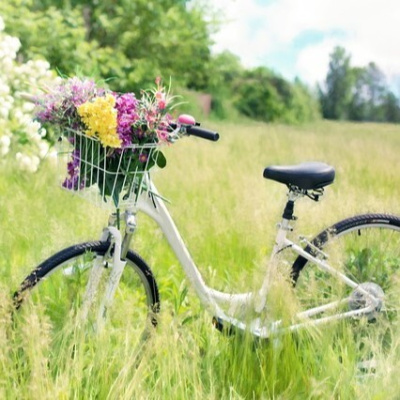 In The Stacks With Barry  Latoya