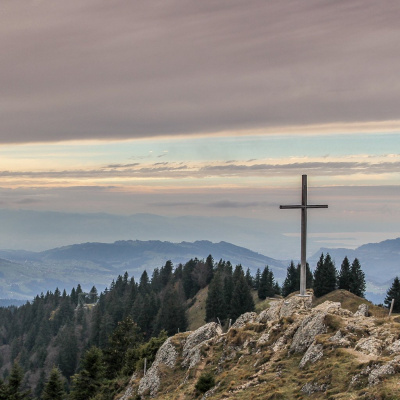 Cypress Good Shepherd