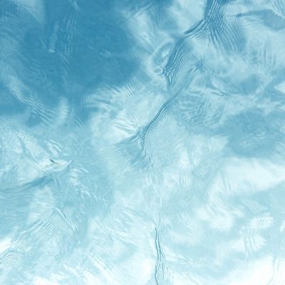 Cypress Good Shepherd