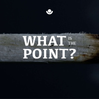 The Quest for Wisdom