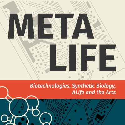 Creative Disturbance