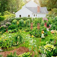 Regeneration Pilgramage by Alice Grace