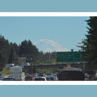 Malicious Harassment Season 9 Episode 8