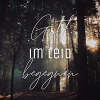 Encontrando Deus no sofrimento: Wie kann ich Leidende tr#xF6sten? (Matthias Theis)