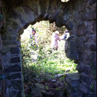 Grace Dieu Hedgerow Walk