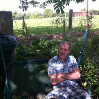 Micheál Galvin on the hedgerow walk