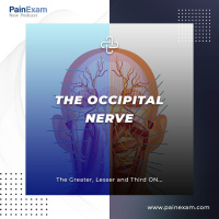 The Occipital Nerve