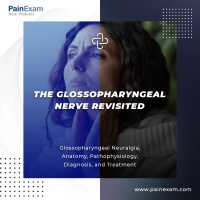 The Glossopharyngeal Nerve Revisited