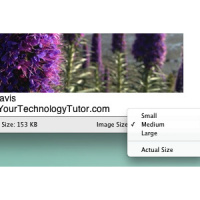 Sharing Your Photos Via Email  Internet