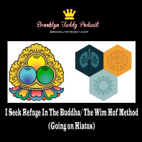 226: I Seek Refuge In The Buddha/ The Wim Hof Method (Going on Hiatus)