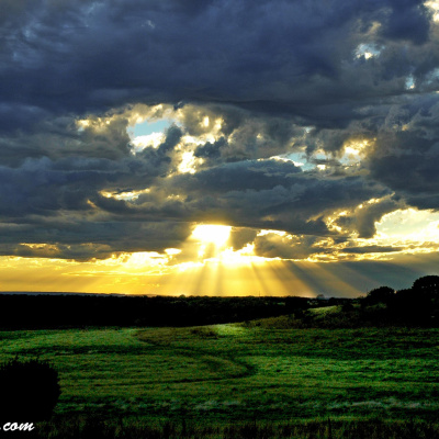 Victory With Host Mason Wallis