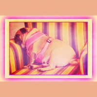 Saturday Evening, March 1, 2014 * Last night in the hotel before moving into a rental house for 6 months...