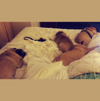 After The Fire... Dragonfly Cottage is gone. * February 11, 2014