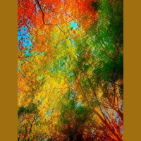 Sundays at Dragonfly Cottage * November 10, 2013