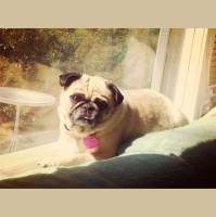 Friday Afternoon, March 21, 2014 * Settling Into The Rental House  What Life Means After The Fire...